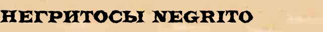 Негритосы (Negrito) словарная статья в универсальной энциклопедии Ф. А. Брокгауз — И. А. Ефрон 